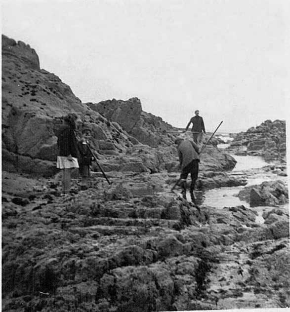Low water fishing at Corbiere in the 1930s
